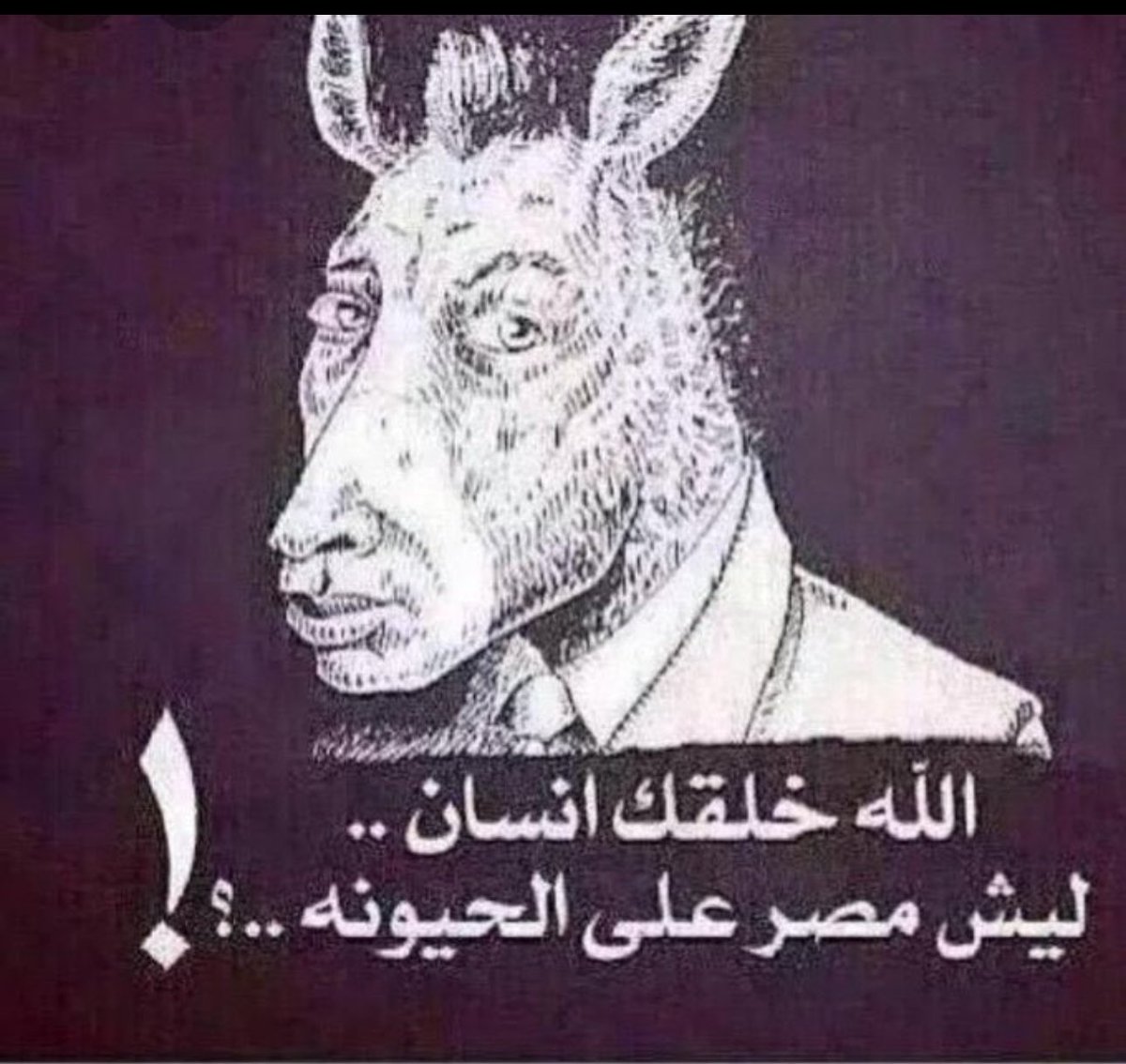 صقر الكويت 🇰🇼 tweet media