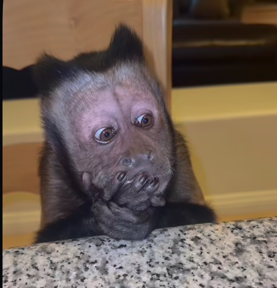 miss honeyzinha ☆ tweet media