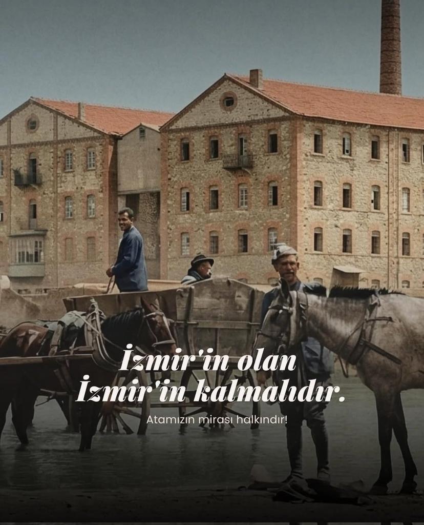 Sengul BAYSAK tweet media