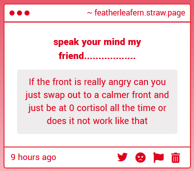 fern || FREE PALESTINE tweet media