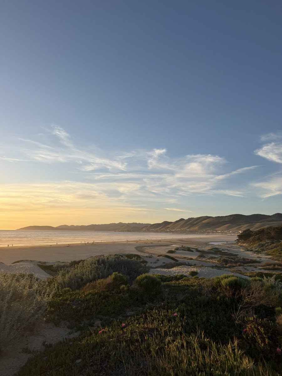 DodgersMuse tweet media