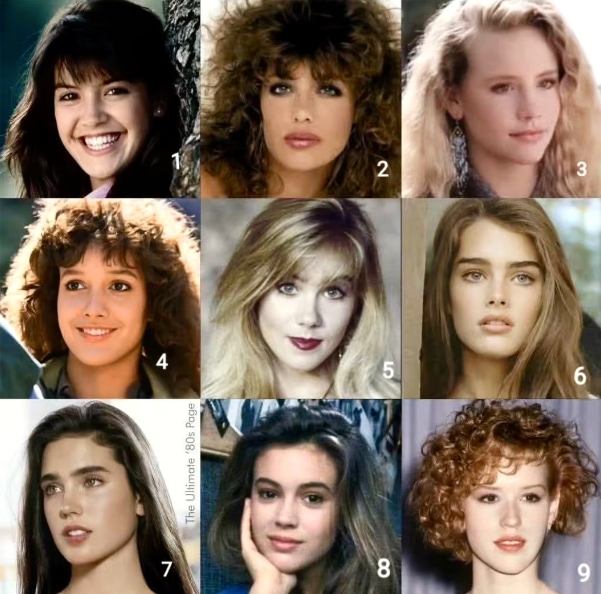 Denise 🤌🐾🇮🇹 tweet media