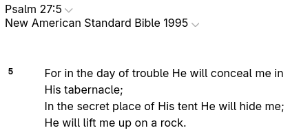 CyberLizard🖥️🦎 tweet media