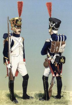 Scone IV tweet media