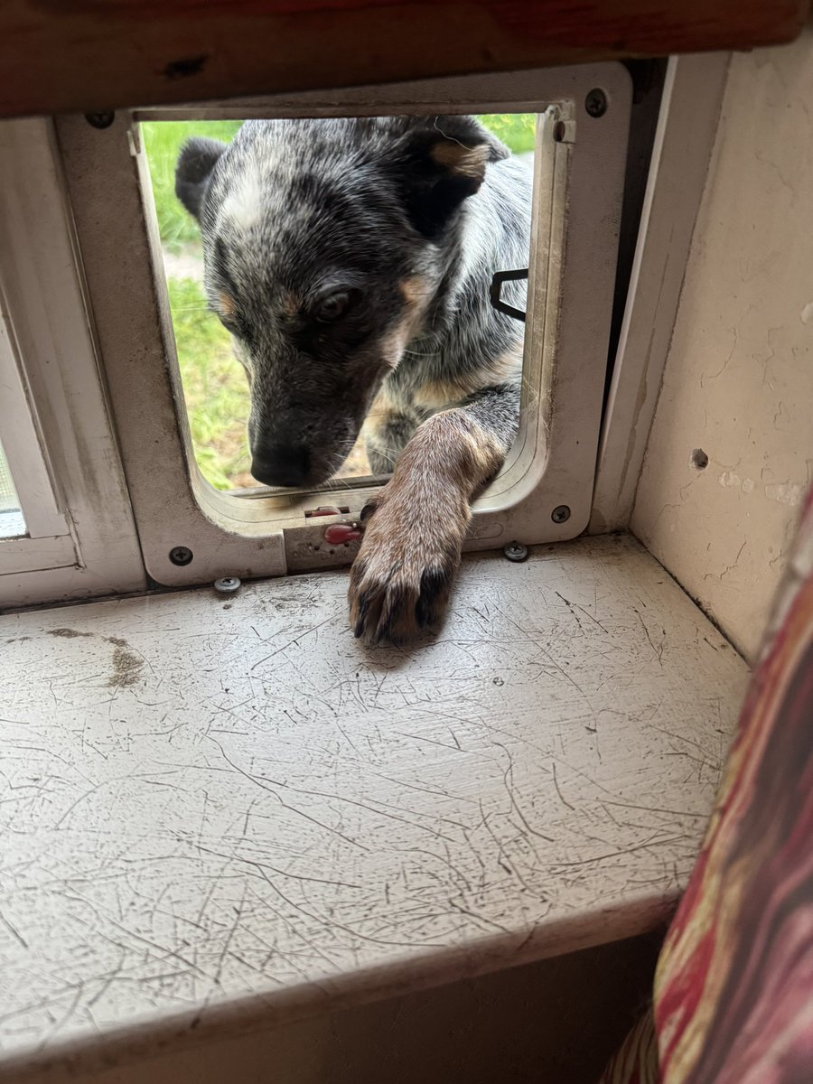 Sweaty Freddy 🏴‍☠️ tweet media