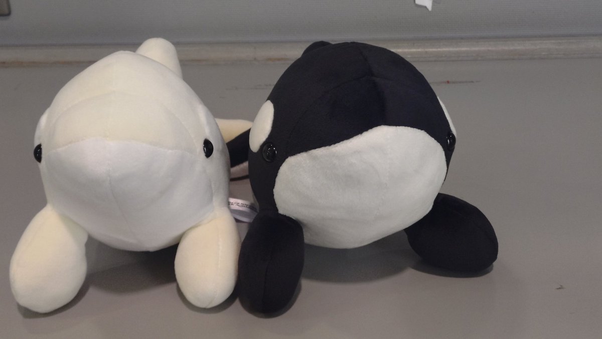 トラストル【notプー】 tweet media