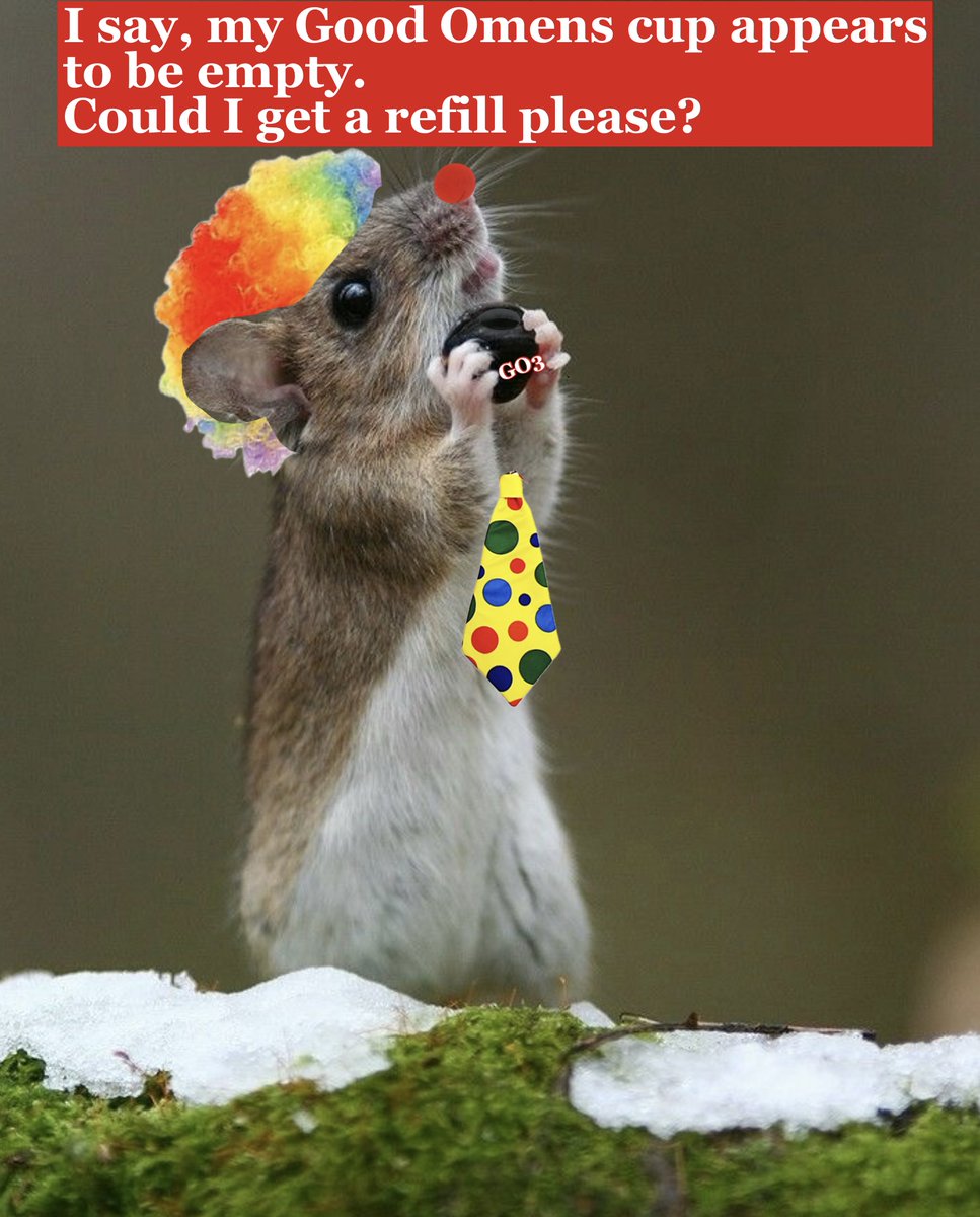 Bushybritches tweet media