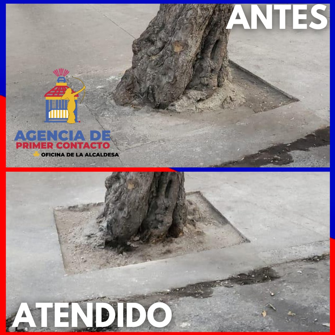 Primer Contacto Alcaldía Cuauhtémoc tweet media