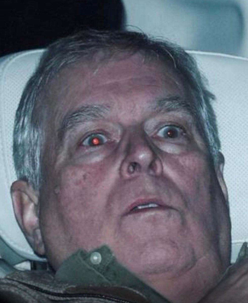 Commander Robin tweet media