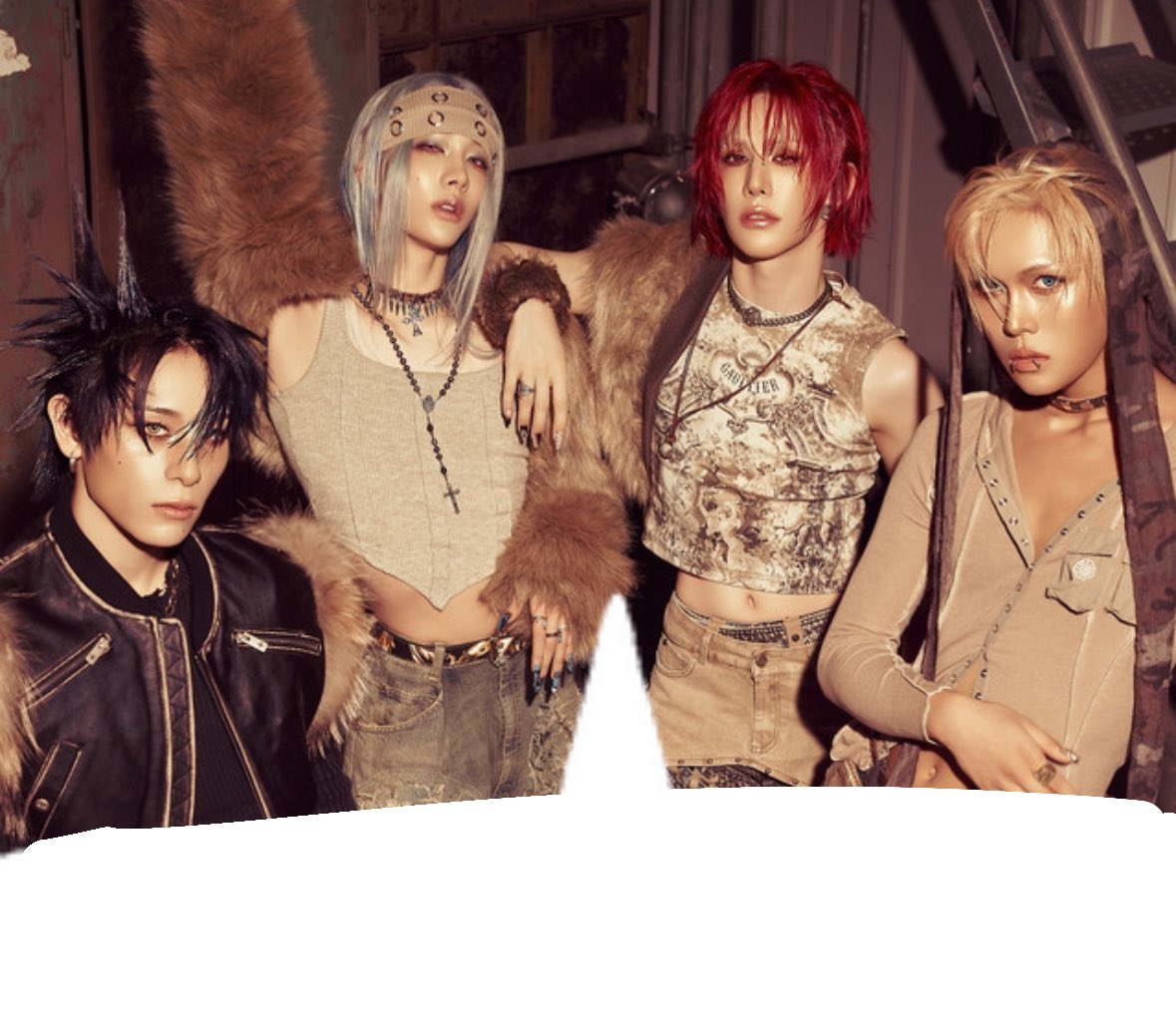 cat 🐱 tweet media