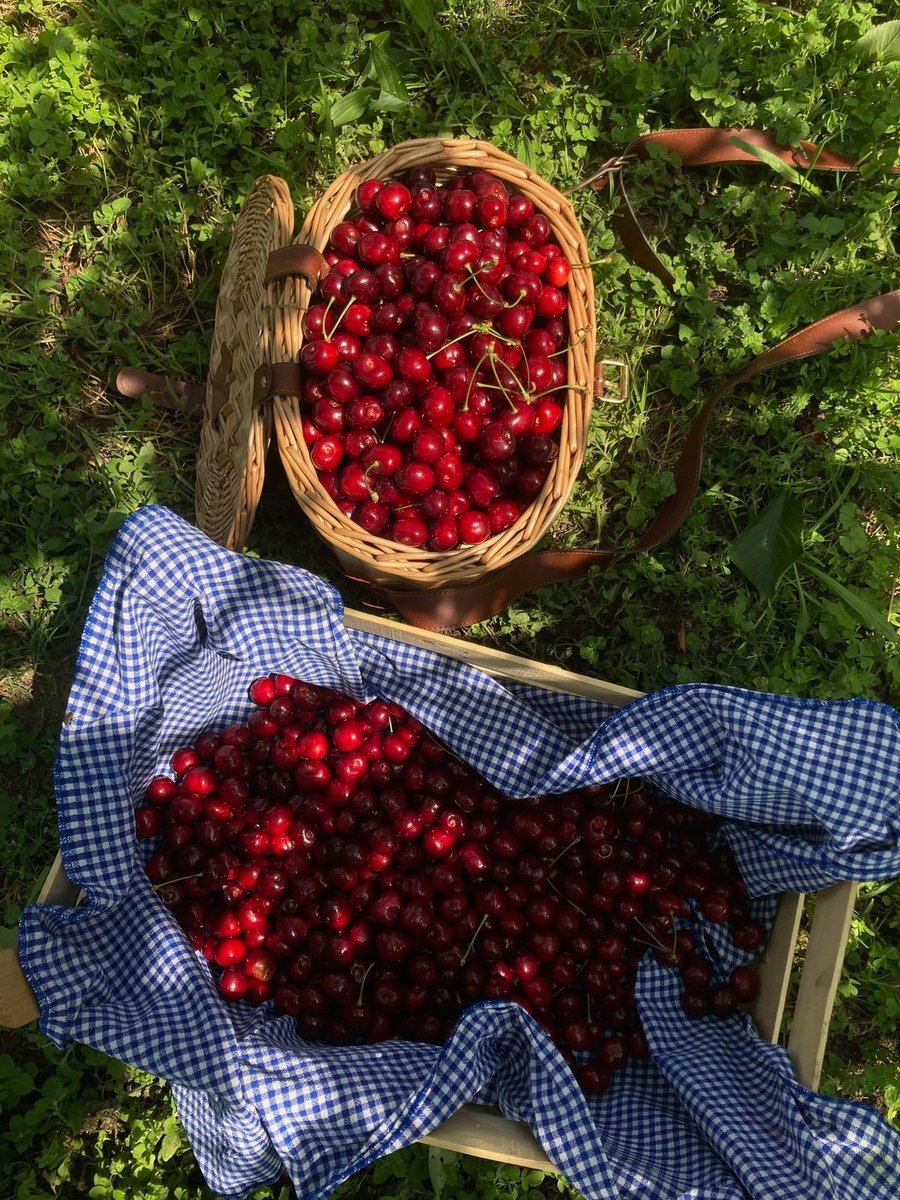 B ☆ ♡ tweet media