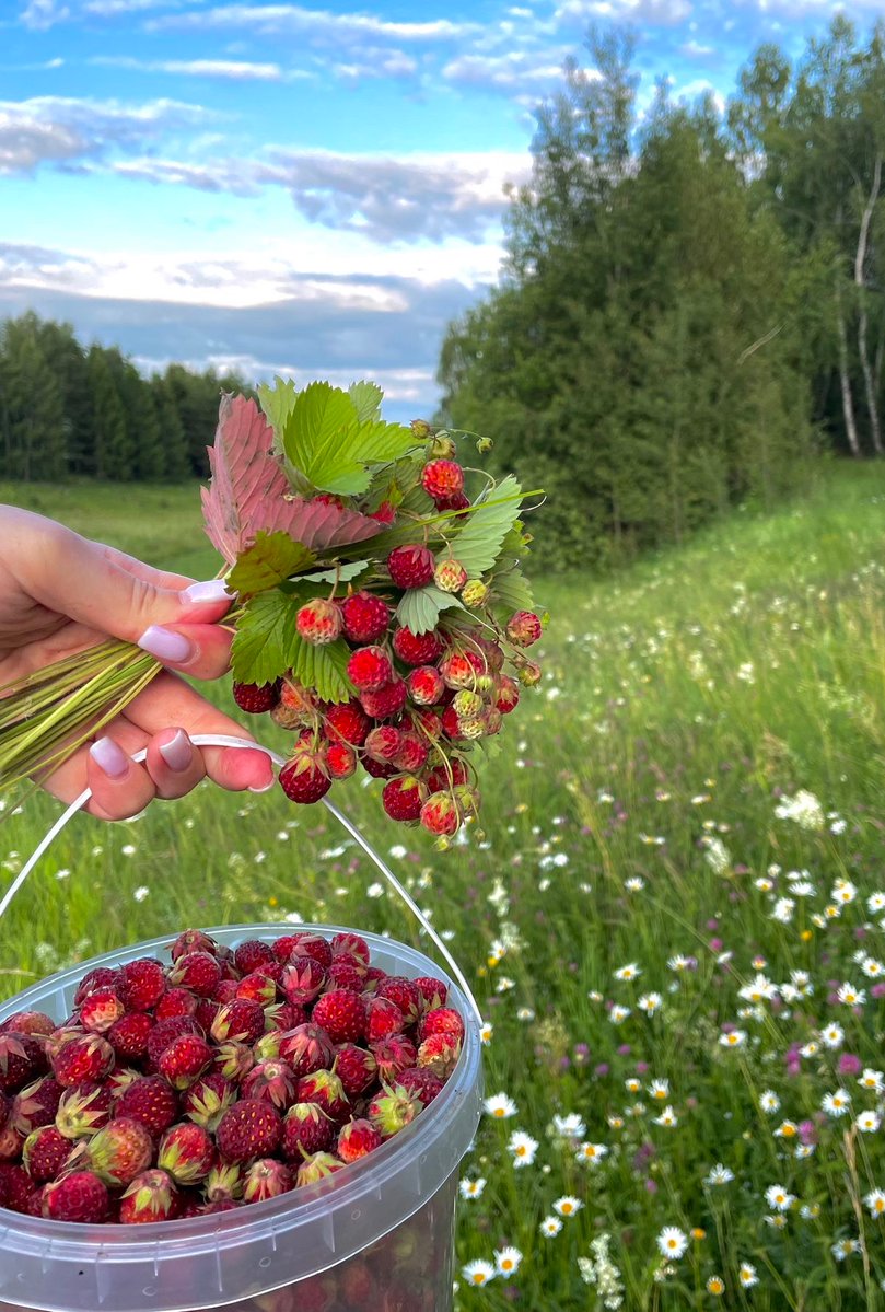 B ☆ ♡ tweet media