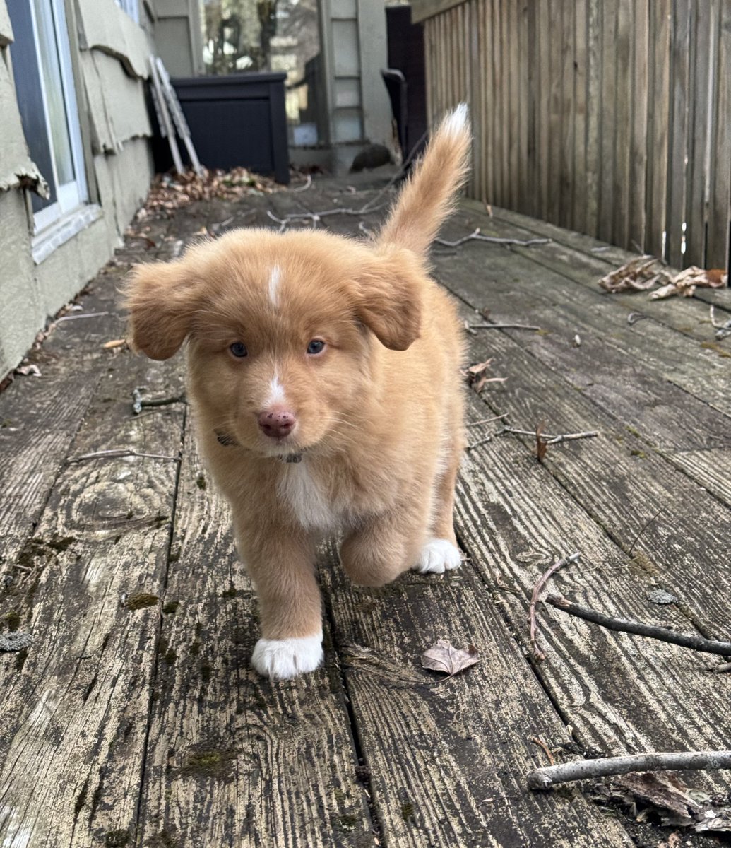 Augie (Shadow 🌈) tweet media