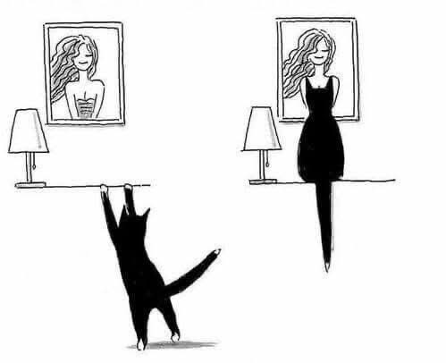 stephiegal tweet media