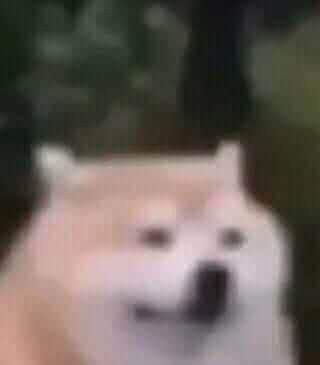 ʚ𝑲𝒆𝒊ɞ tweet media