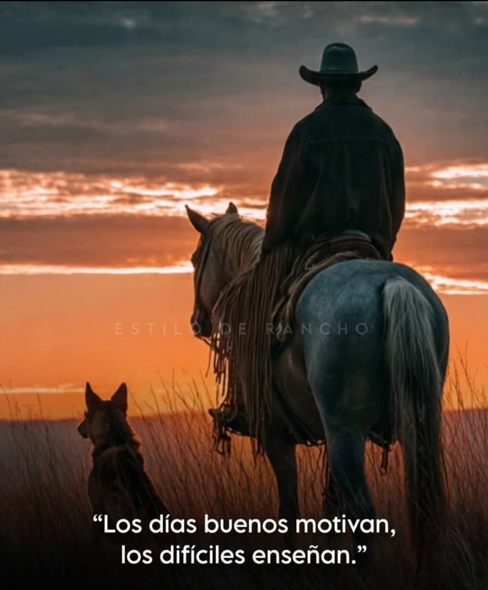 Juan Carlos Meza Fuentes (@3jcmeza) on Twitter photo 