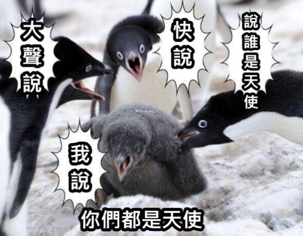 阿Jin🌕藻夢創意🌕 tweet media