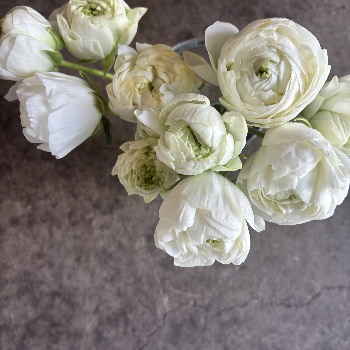 d`ici peu tweet media