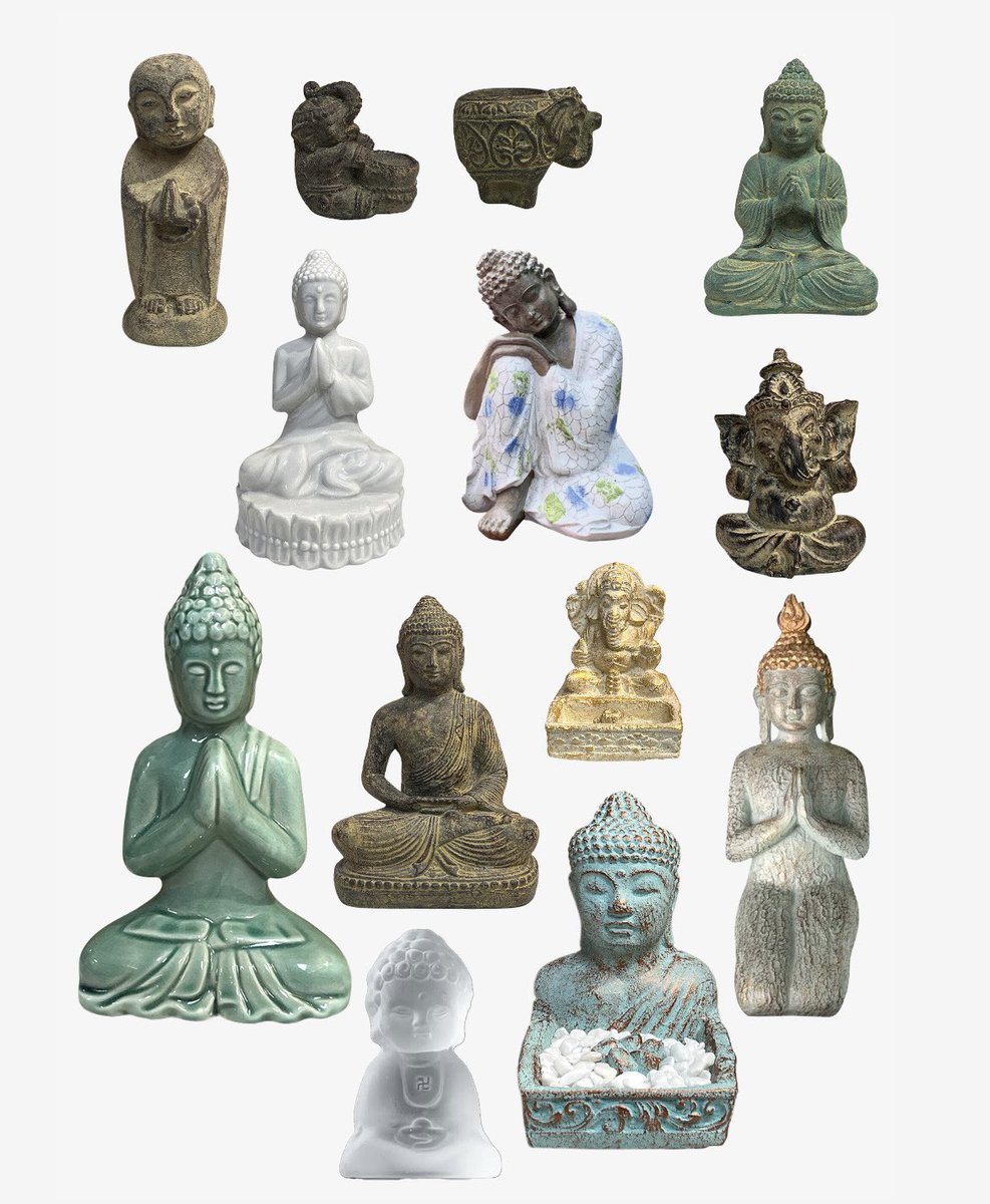 Sunflower tweet media