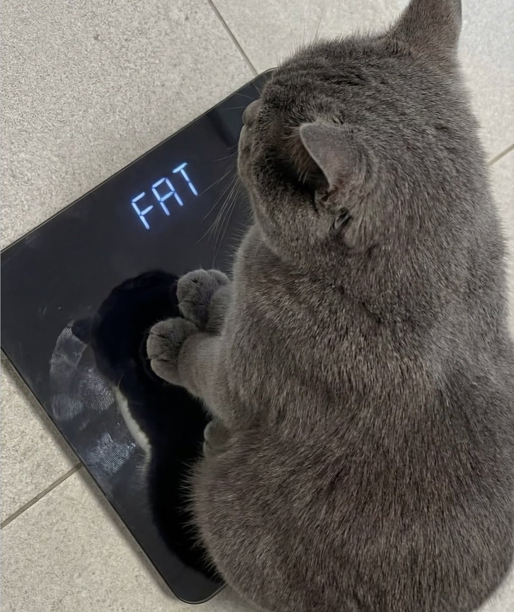 folkative tweet media