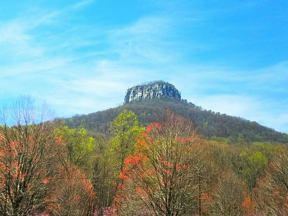 Michelle Maher tweet media