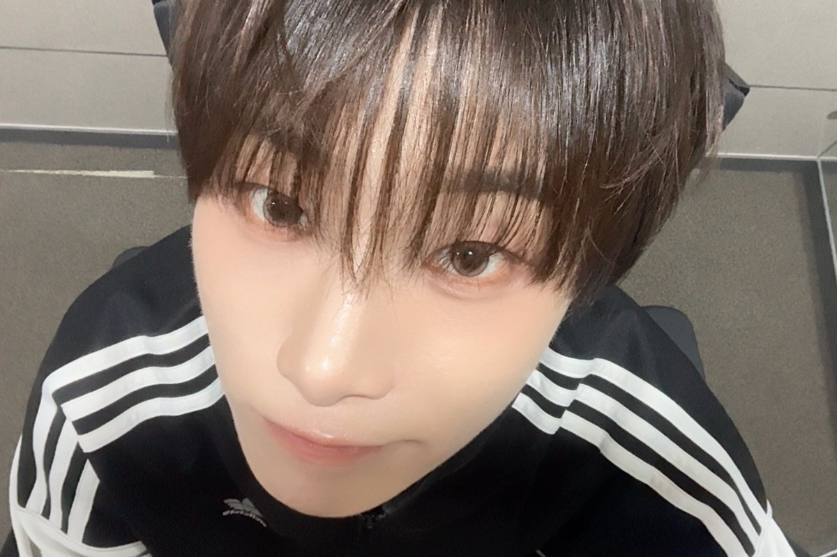 지쁘니 tweet media