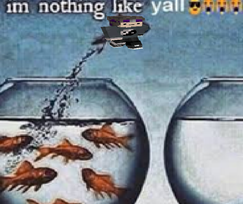 nyxie⚜️ tweet media