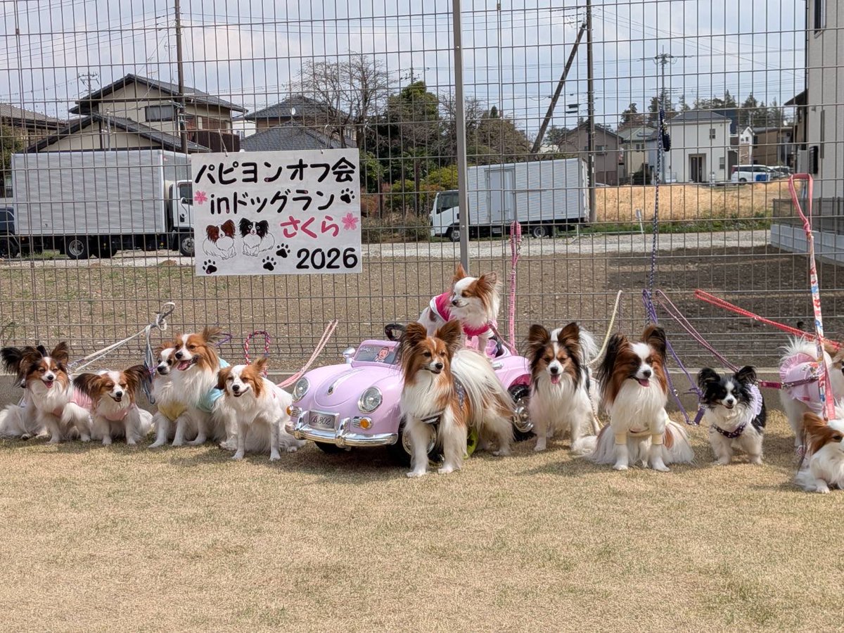rinrinetuko's tweet photo. https://t.co/uho7NsSuYG