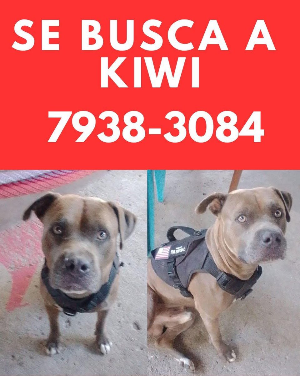 Lyss 🇸🇻 tweet media