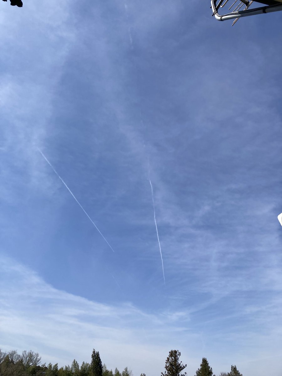 まるまる@お疲れちゃん tweet media