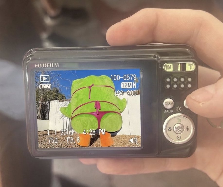 Duolingo Brasil 🇧🇷 tweet media