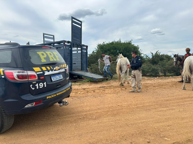 Blog do Zé Carlos Borges tweet media