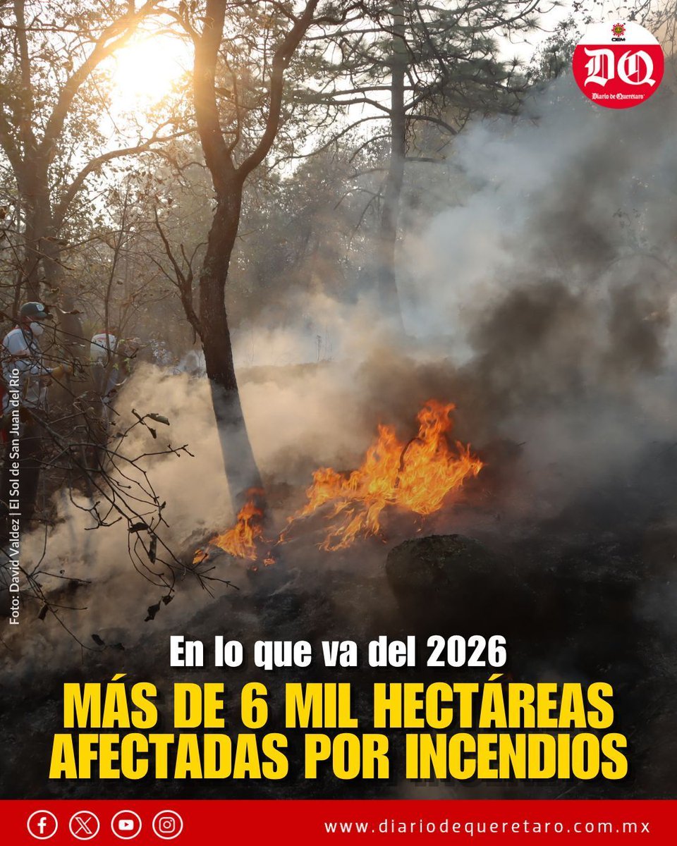 Diario de Querétaro tweet media