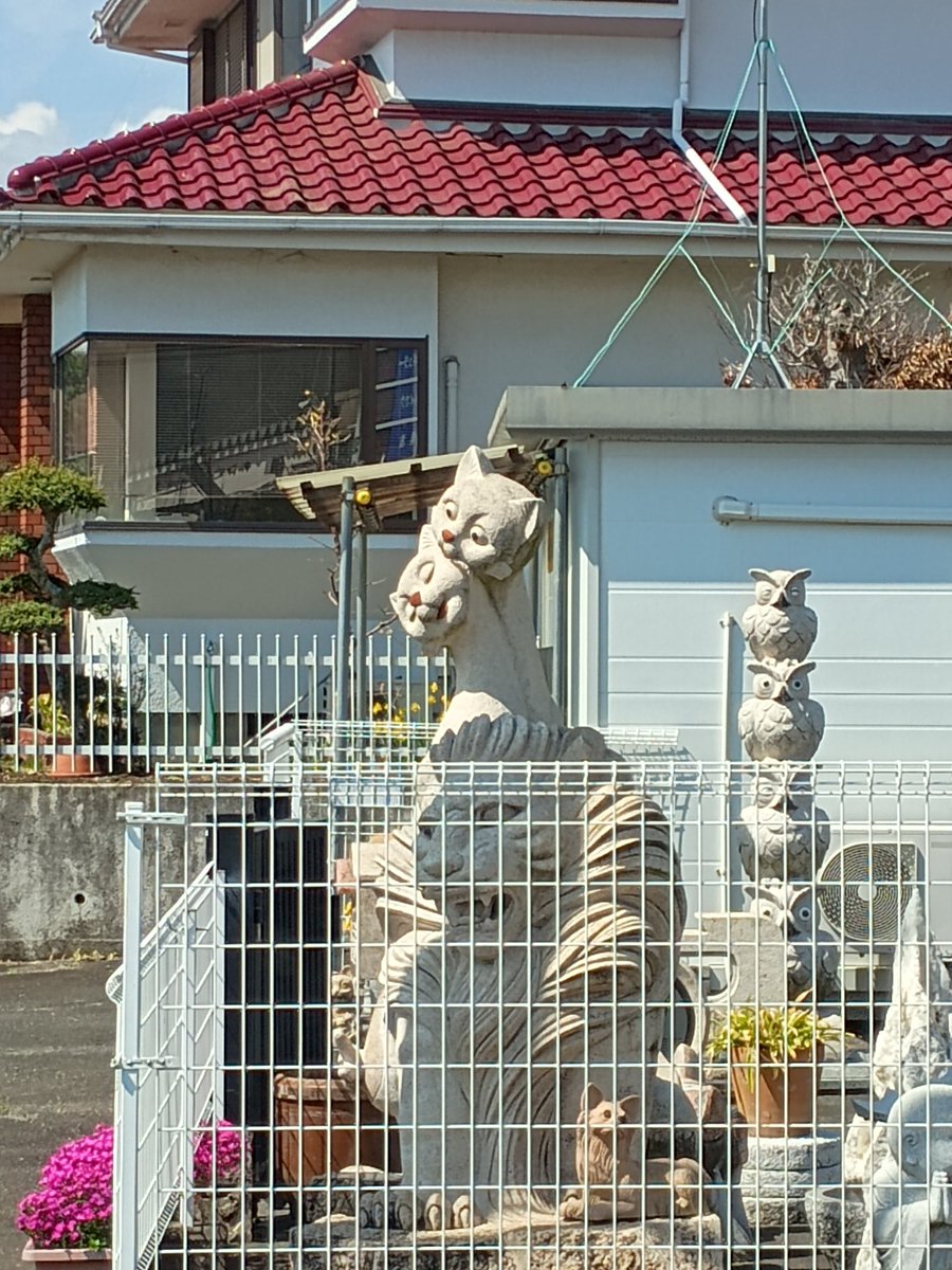 拳拳kenken tweet media