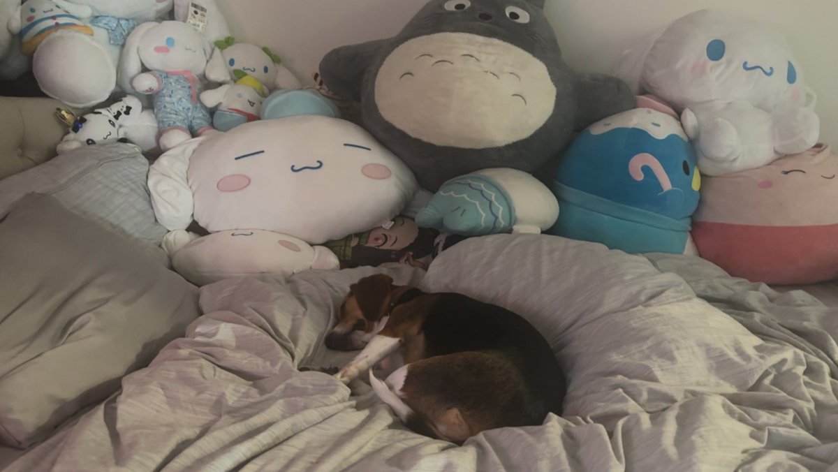 jubes♡ tweet media