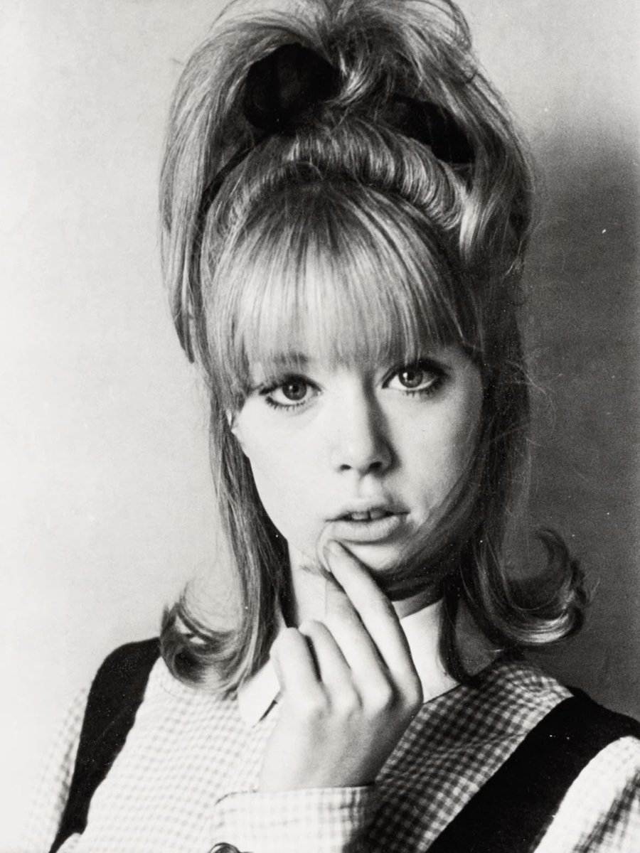 shrimpyk tweet media