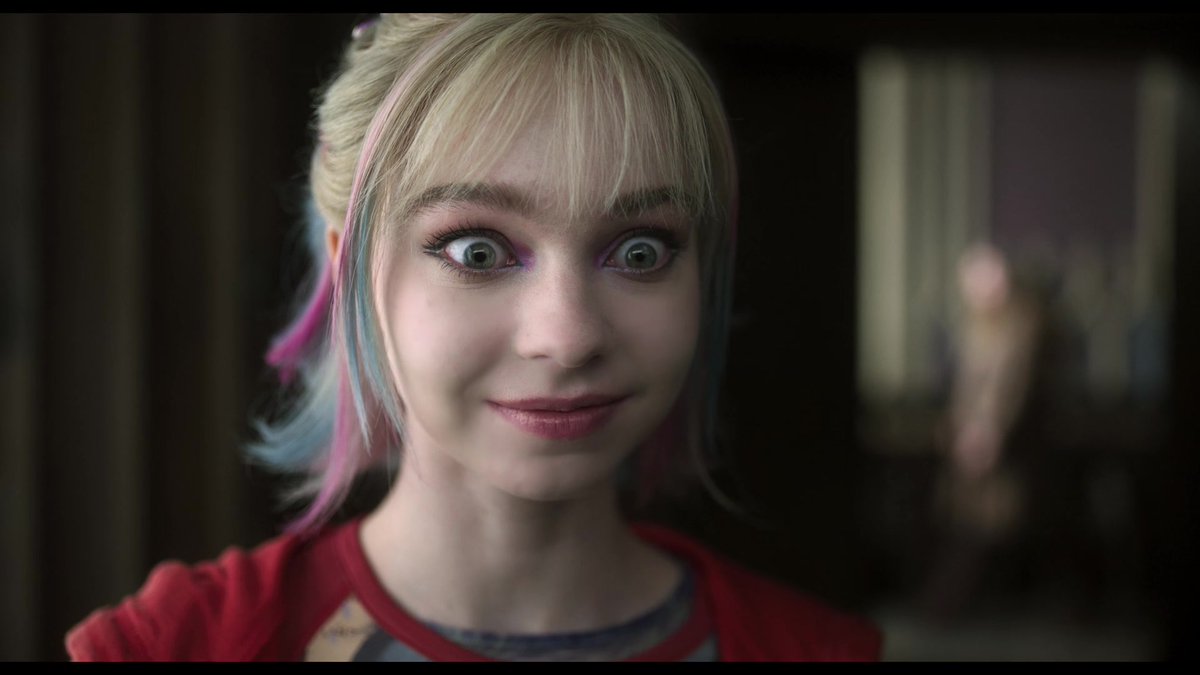 Guilherme Suzena Rosa tweet media