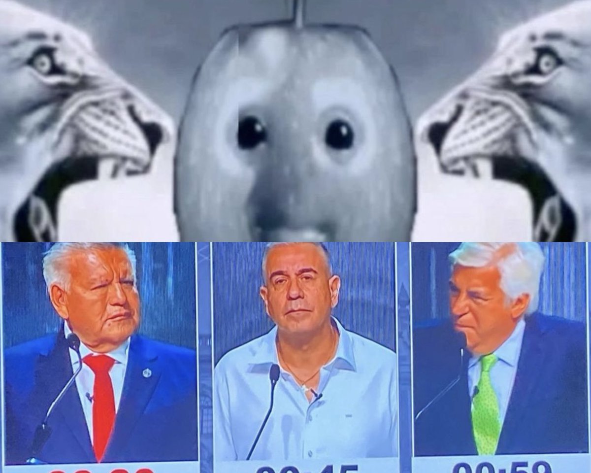 cconeres 🇵🇪 tweet media