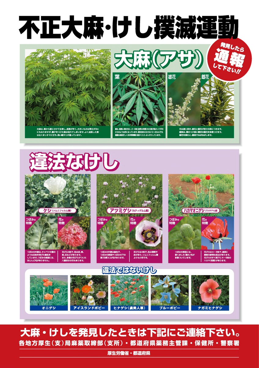 沖縄県庁広報課 tweet media