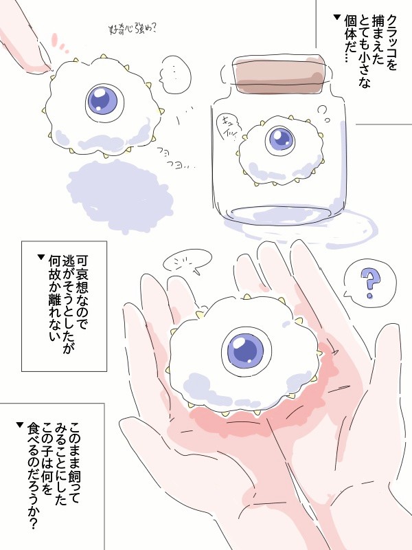 こうぐばこ tweet media