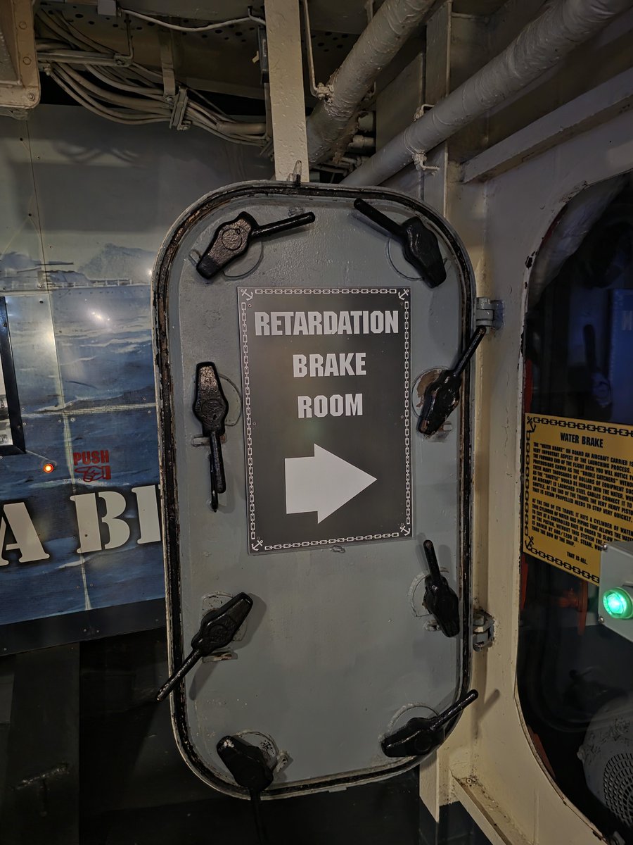 Space Koala tweet media