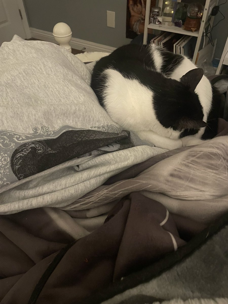 𝒸𝓁𝒶𝓇𝒶⸆⸉ 𝜗𝜚 is seeing madison tweet media