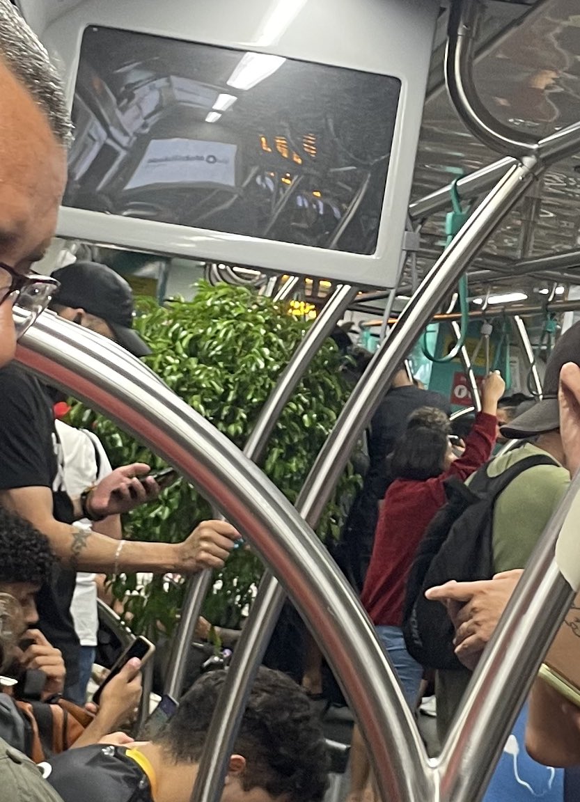 cabeça dinossauro tweet media