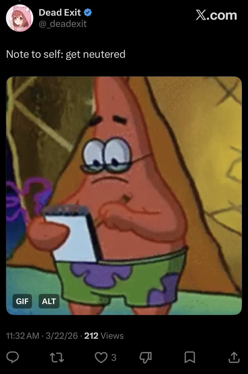 Dead Exit tweet media