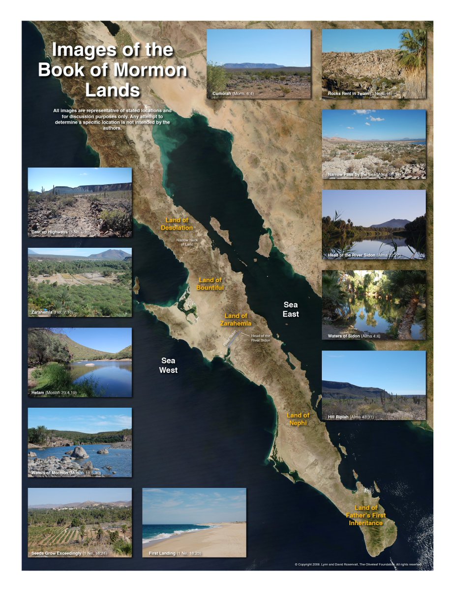 Dustin Harding ✨ awakendaysaint tweet media