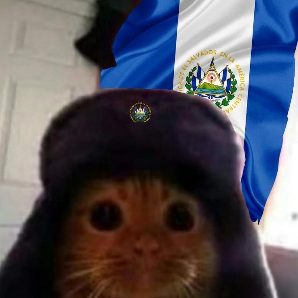 Boca Juniors El Salvador tweet media