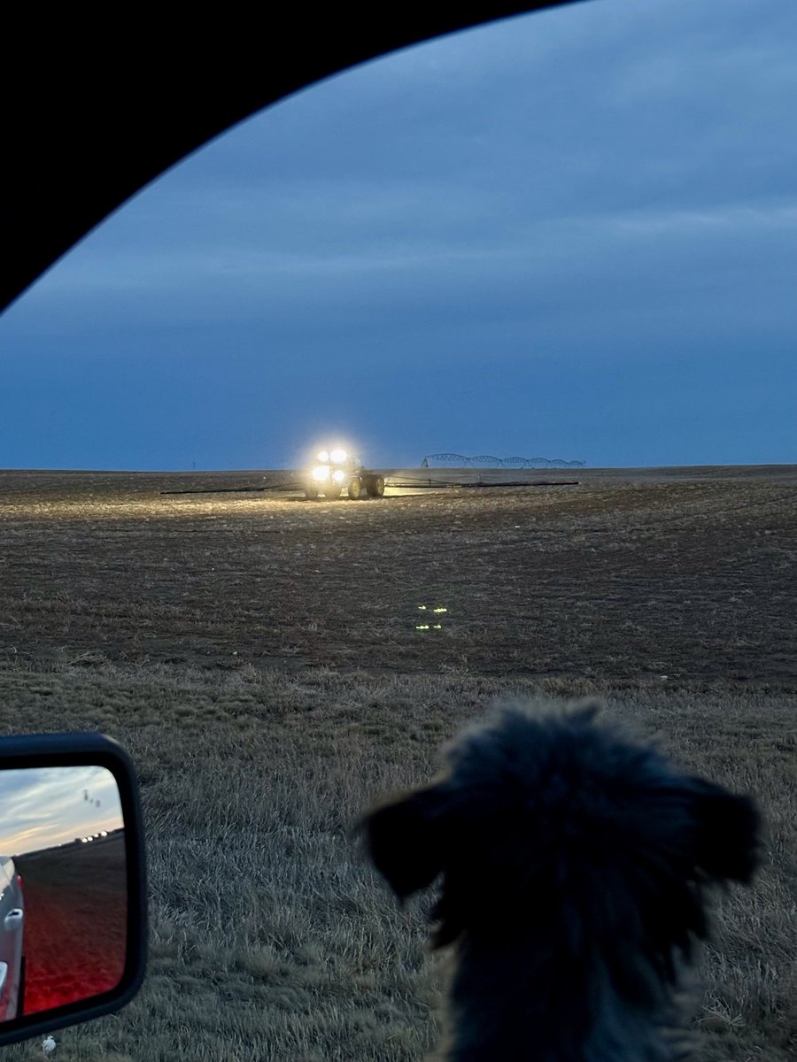 Dorothee van Dijk tweet media