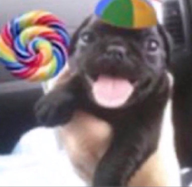 𝒥𝓊.𝒍𝒔 bariatric ⭒ 𝆬 ᮫ tweet media