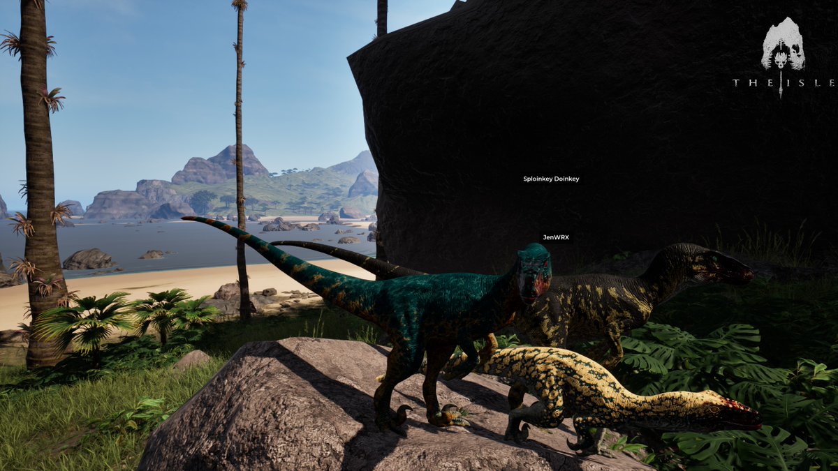 Kunaives ⚔️ tweet media