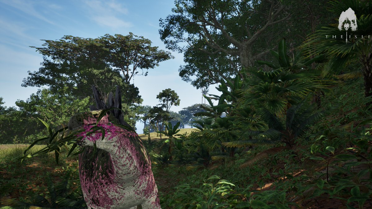 Kunaives ⚔️ tweet media